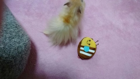 17-12-22-02-54-34-367_deco