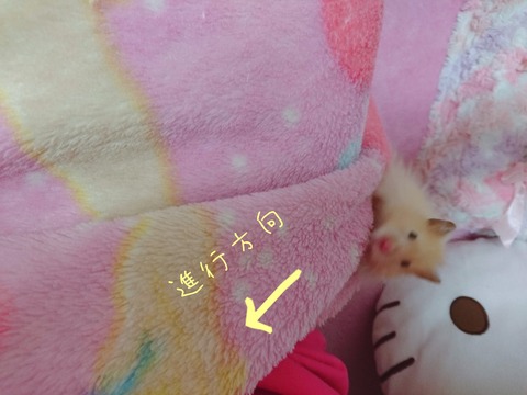 17-12-14-05-14-43-725_deco