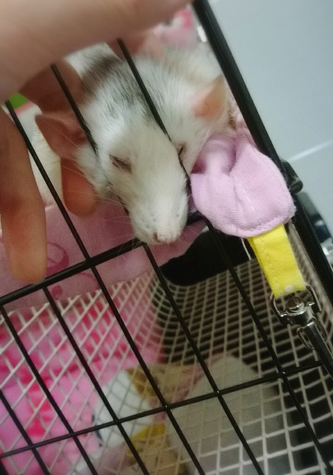 18-04-05-23-15-58-762_deco