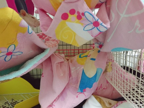 18-01-09-22-41-34-326_photo