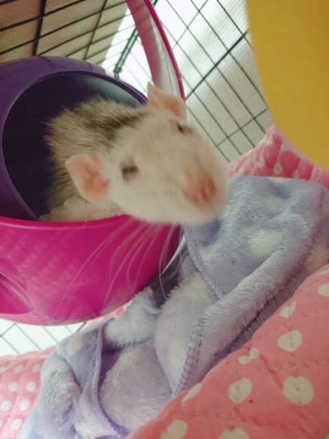 18-01-09-22-40-09-500_photo