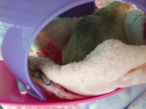 18-01-09-22-41-17-086_photo