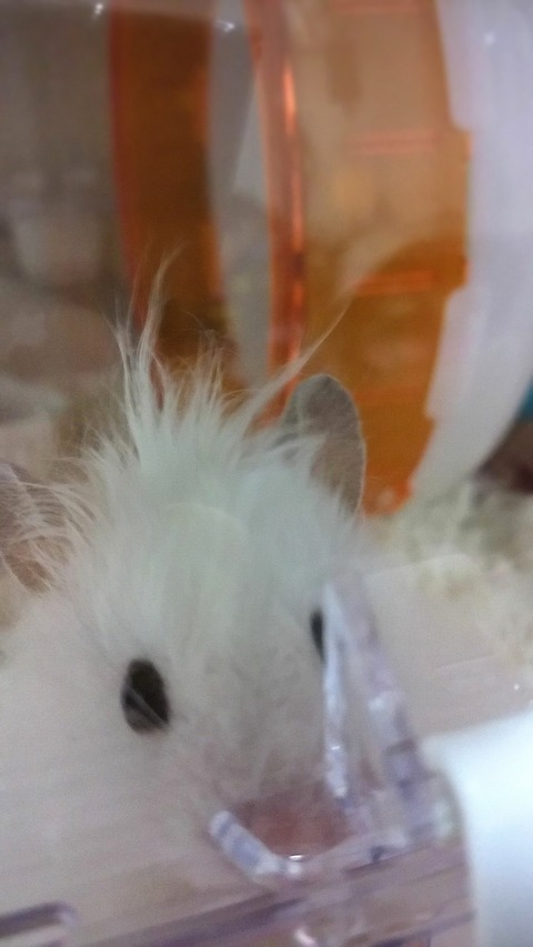 16-03-11-21-26-31-981_deco