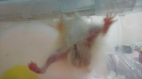 18-04-07-23-09-29-732_deco