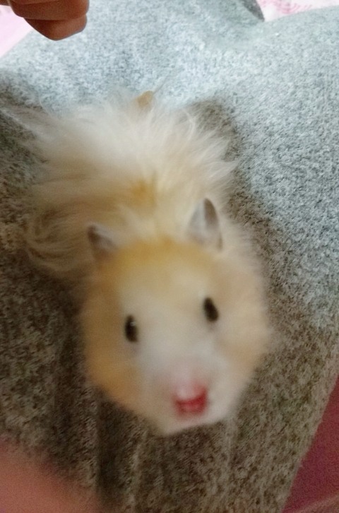 17-12-22-02-52-44-359_deco