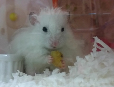 16-03-07-22-43-24-800_deco