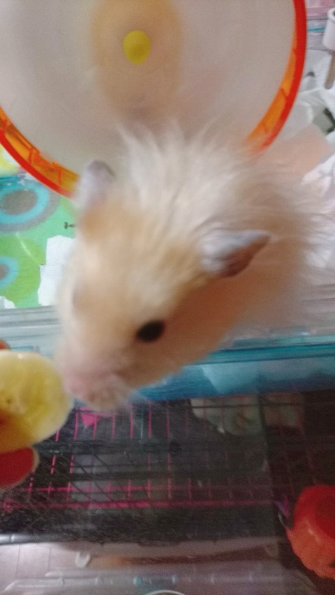 17-12-20-22-37-15-861_deco