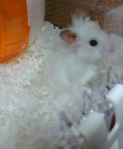 16-03-11-18-13-50-367_deco