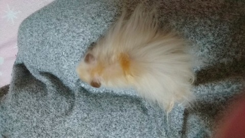 17-12-22-02-50-29-909_deco