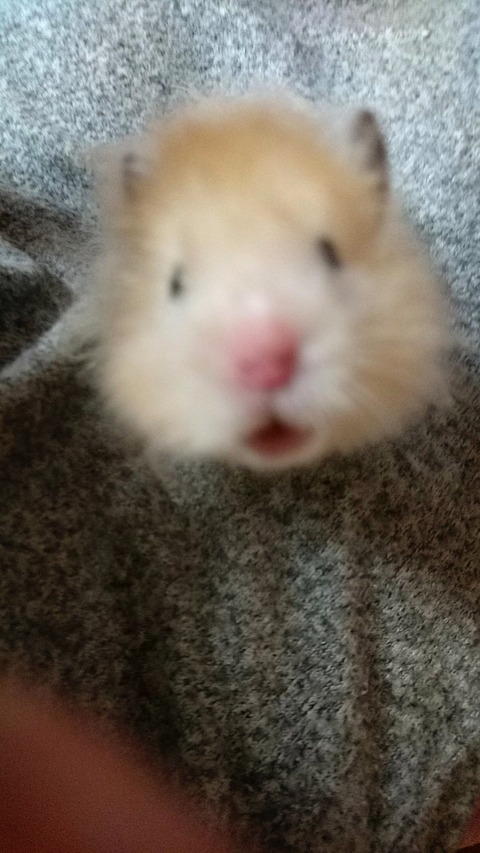 17-12-22-02-53-33-693_deco