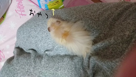 17-12-22-02-51-29-151_deco