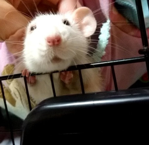 18-09-18-00-09-46-685_deco