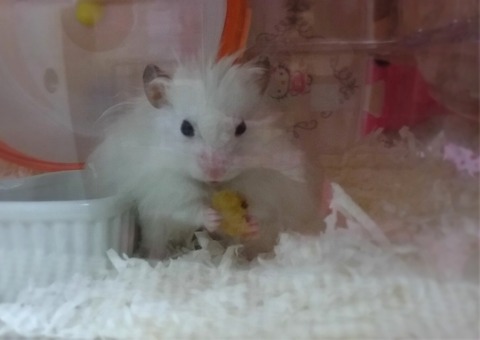 16-03-07-22-42-50-238_deco