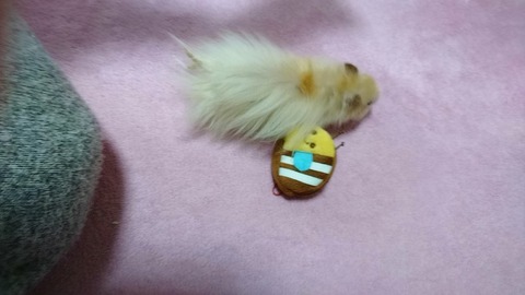 17-12-22-02-54-11-602_deco