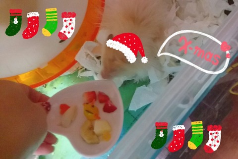 17-12-25-19-45-06-279_deco