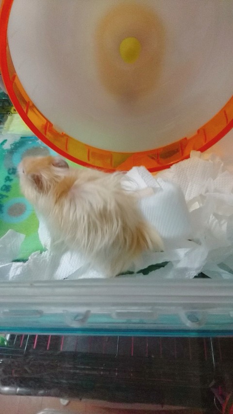 17-12-20-22-38-24-643_deco