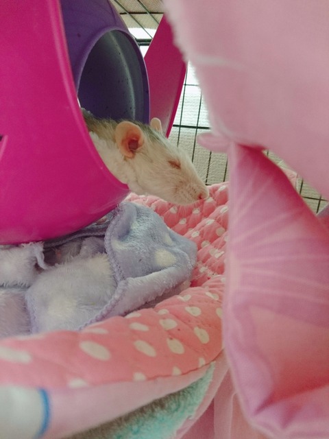 18-01-09-22-39-54-551_photo