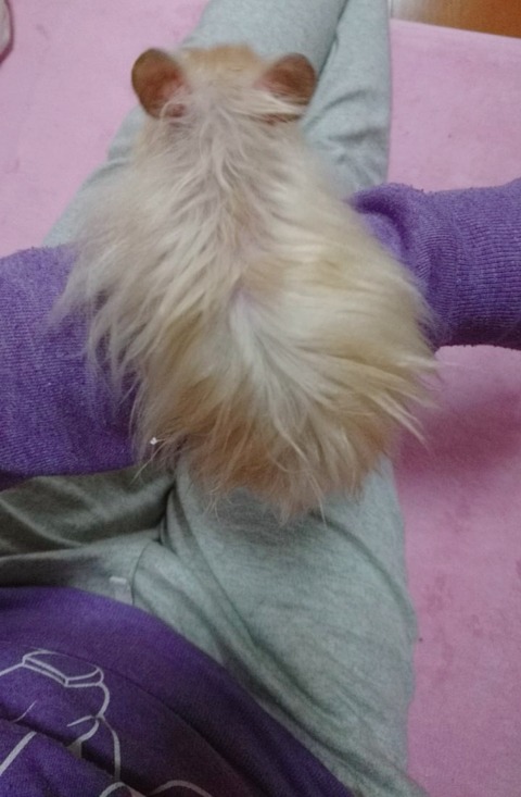 17-12-12-00-04-49-542_deco