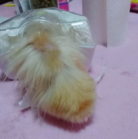 17-12-12-00-14-27-139_deco