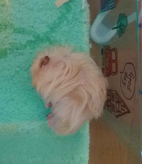 17-12-12-00-26-44-544_deco