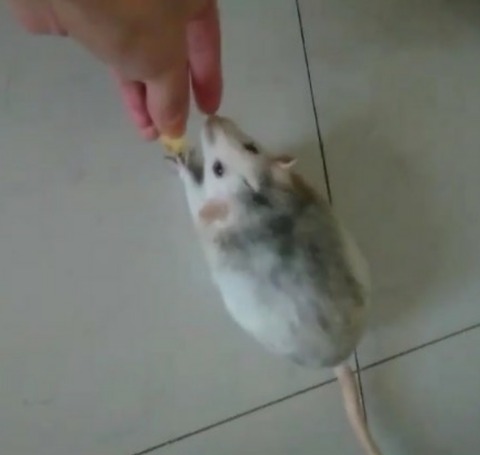 18-01-09-23-04-48-874_deco