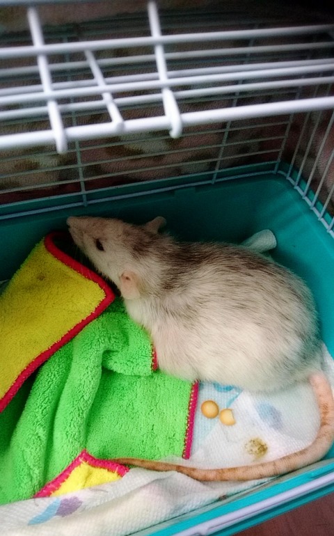 18-09-25-00-52-57-120_deco