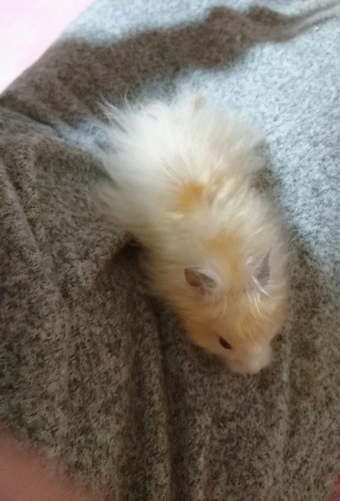 17-12-22-02-51-54-716_deco