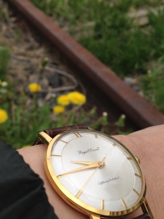 □ ORIENT RoyalOrient 19jewels 1959年（昭和34年）～ : 僕と猫と時計