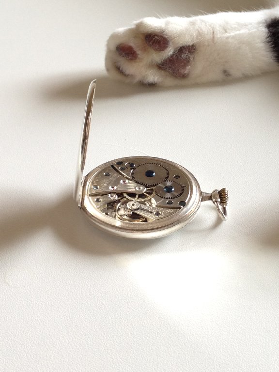 □ TAVANNES WATCH Co Pocketwatch 1930年代位 : 僕と猫と時計と