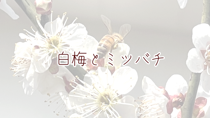 イラスト2