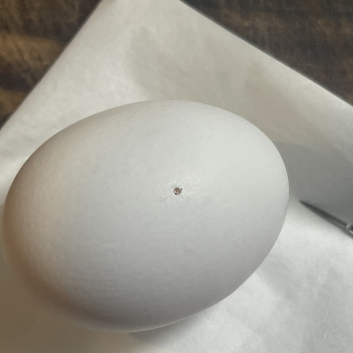 FullSizeRender