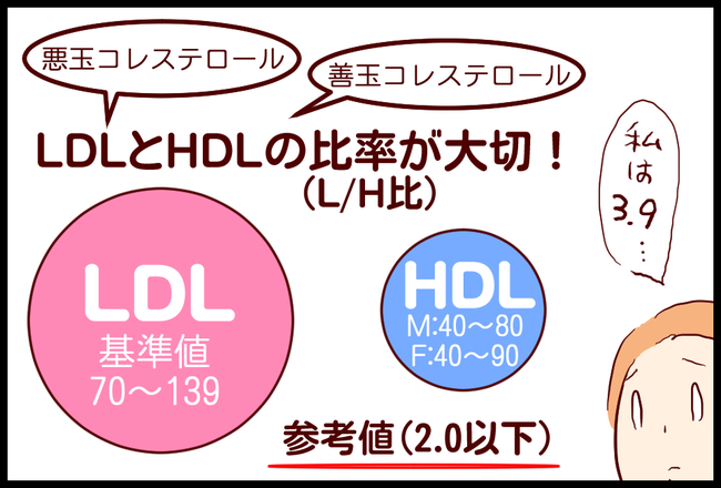 LDL04