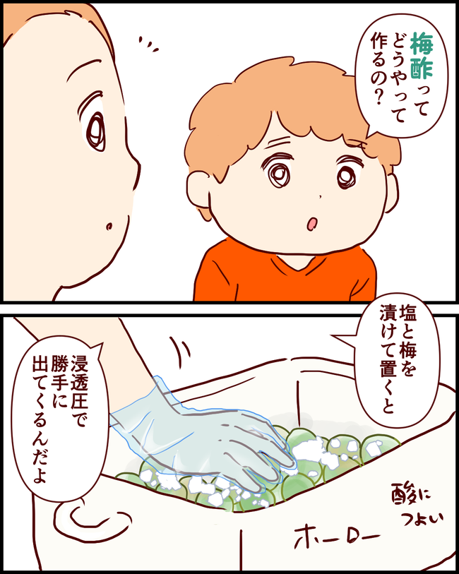 梅仕事_出力_001