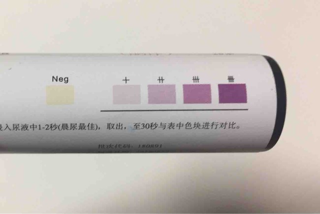 ロカボダイエット ゆりやんが使っていた ケトン体試験紙 を買ってみた るるっぱ Oh My Sweet Husband Powered By ライブドアブログ