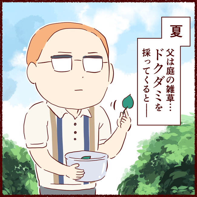 ドクダミ02