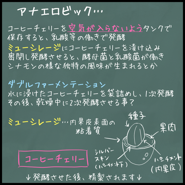コーヒー01