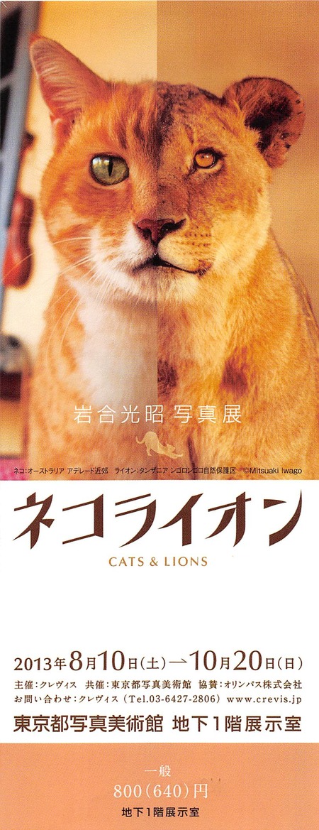 2013年08月18日13時02分34秒.jpg