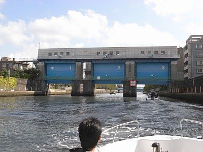 ����̾�������