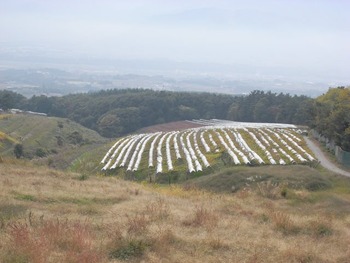 b06d8053.jpg
