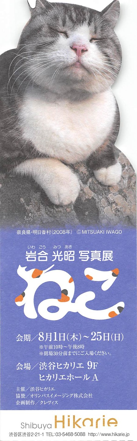 2013年08月18日13時02分40秒.jpg