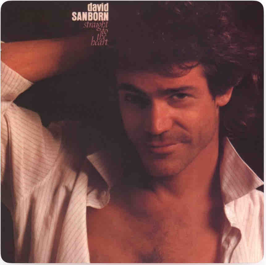 【シール帯】「ストレイト・トゥ・ザ・ハート」デイヴィッド・サンボーン 日本盤 シール帯】「ストレイト・トゥ・ザ・ハート」デイヴィッド