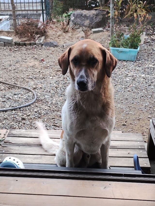 IMG_20231204_162811451_HDR