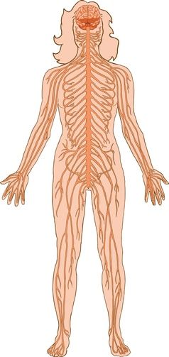 Fotolia_6257973_XS
