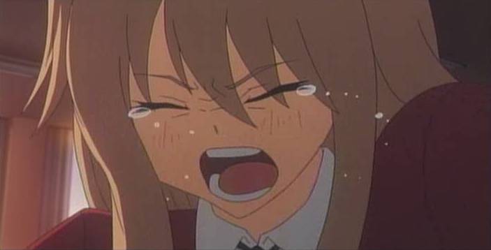 アニメ とらドラ 第23話 進むべき道 所詮 すべては戯言なんだよ