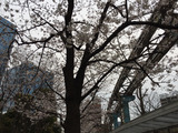 cbc6e670.jpg
