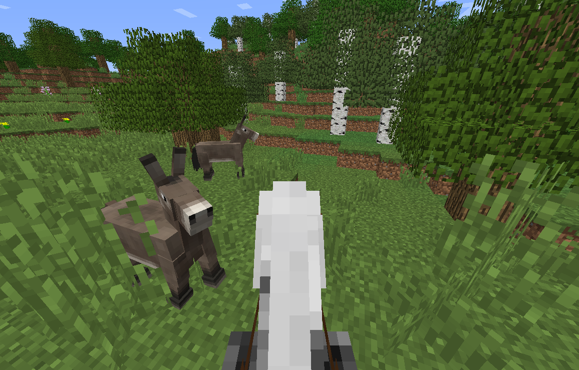 ロバ探しの旅 2 1 10ゾンビ村発見 いくらのマイクラ日記