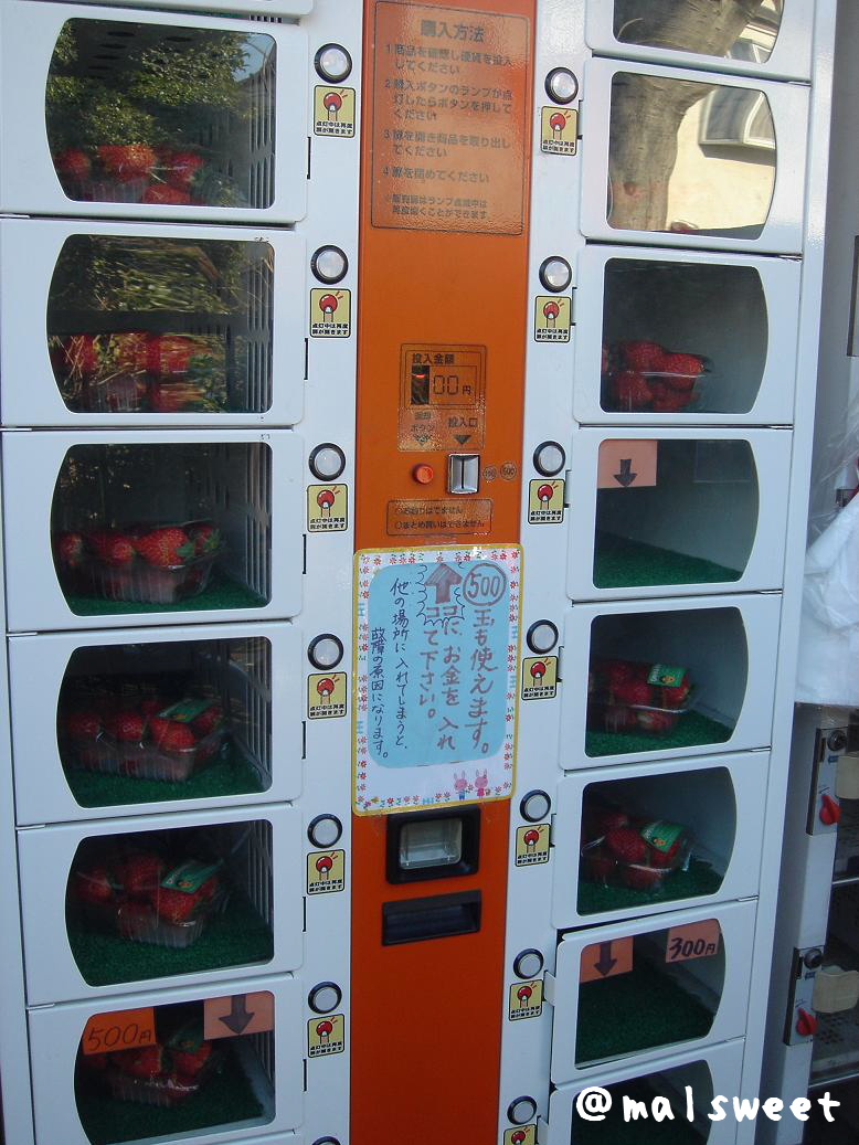 関口さんちの完熟イチゴ My Precious