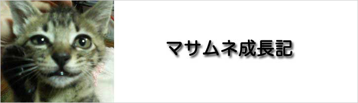 �ޥ������Ĺ��