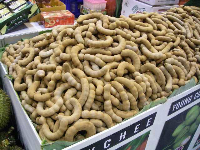 速報４ タイ料理に使うタマリンド マカーム ってなに パッタイの必需品 タイフェスティバル２０１４回顧 毎日カレー と タイ料理 By エスニカン