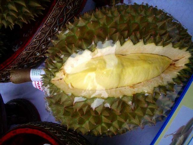 イオンタイフェア２０１９ 目玉は直輸入 ドリアン モントーン種 毎日カレー と タイ料理 By エスニカン